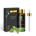 Basil / 10Ml